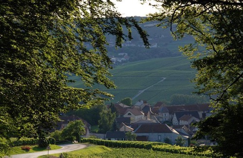 Romery Bed & Breakfast | Roulotte la Dominique