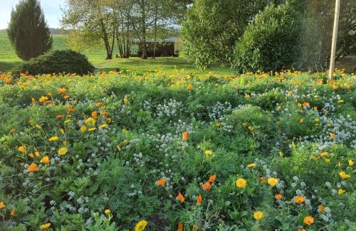 Chatillon-sur-Marne Bed & Breakfast | Roulotte panoramique du Moulin