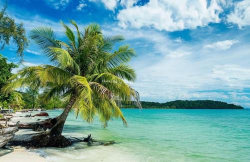 Koh Rong Resort | Royal C Resort