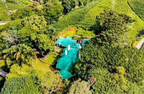 Hatton Villa | Royal Majesty Bungalow