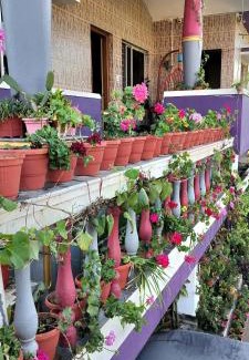 Stuart Hill House | Royal Palm Homestay
