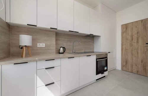 Srodmiescie Apartment | Rozbrat 5 Pleasing Studio Near the market