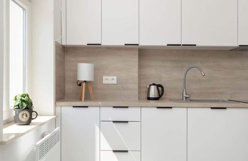Srodmiescie Apartment | Rozbrat 5 Pleasing Studio Near the market