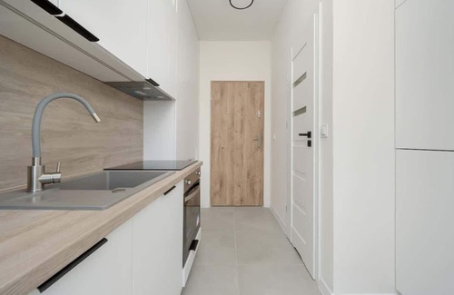 Srodmiescie Apartment | Rozbrat 5 Pleasing Studio Near the market