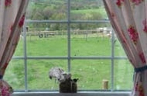 Rhayader Ski Chalet | Ruby Shepherds hut Sleeps 4