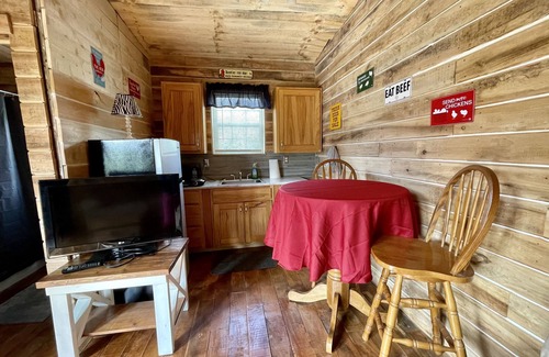 Southern Cabin | Rudy’s roost Rental Cabin - near Back of the Dragon Route 16