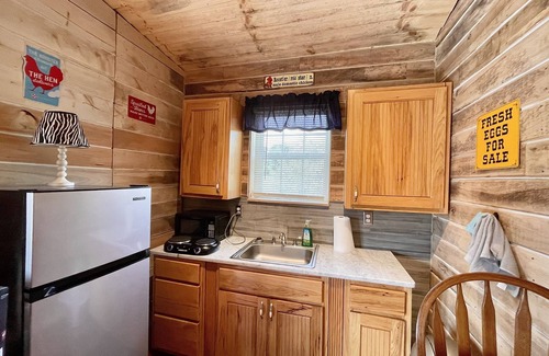 Southern Cabin | Rudy’s roost Rental Cabin - near Back of the Dragon Route 16