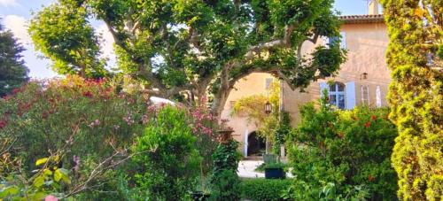 Cabrieres-d'Avignon Bed & Breakfast | Rue du Château à Cabrières d'Avignon