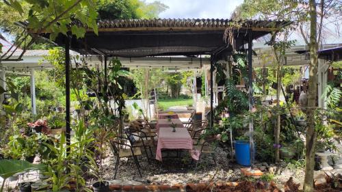 Ambarita Bed & Breakfast | Ruma Kaca Simanindo Bed&Breakfast