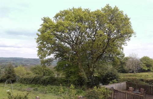 Honiton Cottage | Rural Holiday Cottage with Wonderful Countryside Views on Friendly Smallholding.