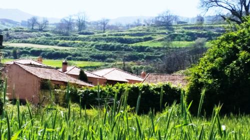 Los Realejos House | Rural Las Llanadas