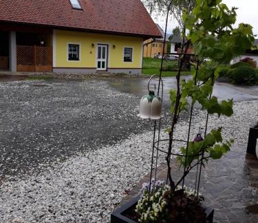 Stainztal House | Russhof-Fam.Thomann