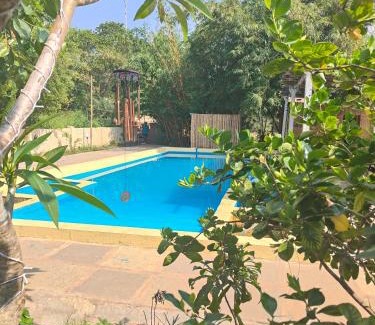 Arambol Resort | Rusta wellness and retreat center