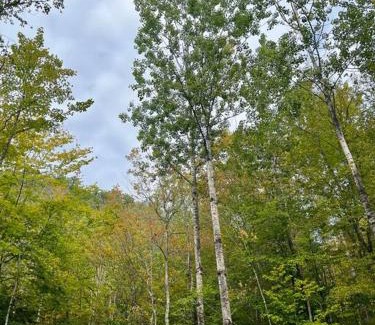 Stoneham House | Rustic Cabin in Maine Woods-The Beech