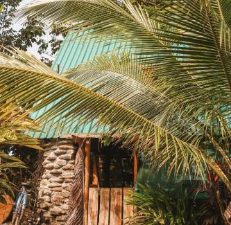 Pavones Apartment | Rustic Cabin in Pavones surf brake