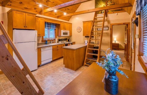 Conway Cabin | Rustic Cabin near Conway Village