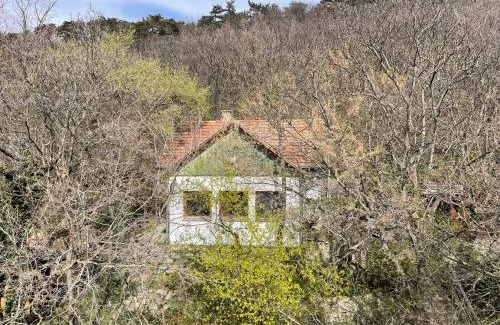 Csatarka House | Rustic Cottage & Garden Retreat on Buda Hilltop