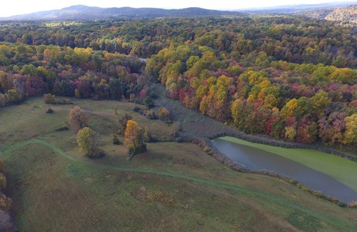 Tillson House | Rustic Farmhouse on 82 Acres of Land - with Ponds and Waterfalls- and a Hot Tub!