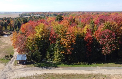 Saint-Cuthbert Cabin | Rustic forest hut (taxiway station)