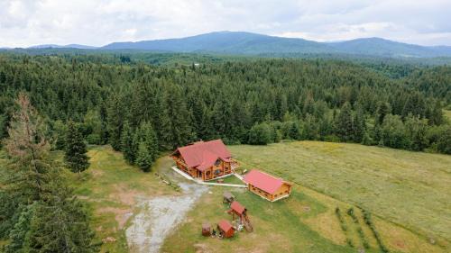 Calatele Ski Chalet | Rustic Home