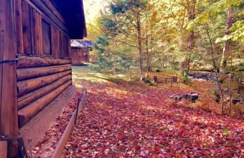 Lisbon House | Rustic Log Cabin #2 - "Peaceful Oasis"
