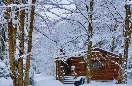 Lisbon Cabin | Rustic Log Cabin #7 - “Streamside”