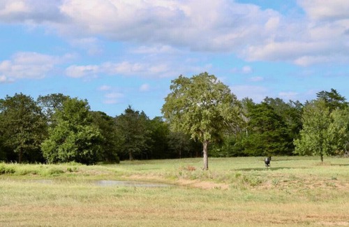 Smithville House | Rustic Ranch RV Escape