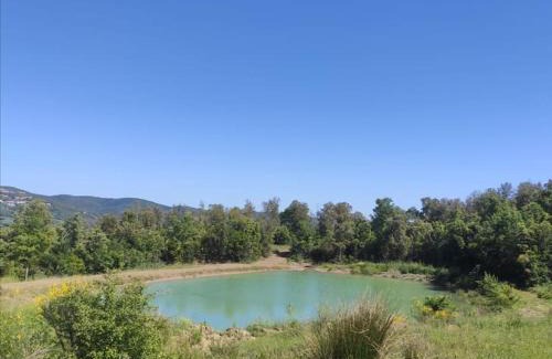 Massa Marittima Apartment | Rustico in un parco di lecci