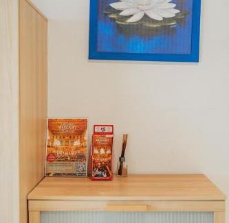 Modling Apartment | Rustikales Apartment in Mödling