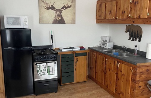 Michigamme Cabin | Ruth Lake Resort Motel Room # 8