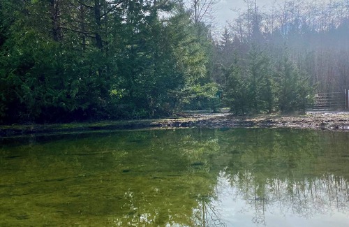 Seabeck RV Rental | RV Spaces with hookups, 5 private country acres, 20 min to town, Family friendly