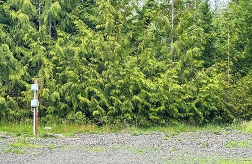 Seabeck RV Rental | RV Spaces with hookups, 5 private country acres, 20 min to town, Family friendly