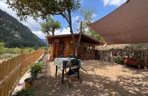 Pavliani House | RVilla