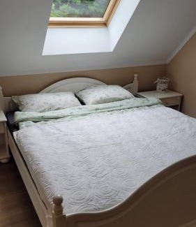 Czarna Dabrowka Apartment | Ryby i grzyby