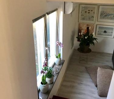 Soder Apartment | Rymlig lägenhet i avdelat hus med egen parkering
