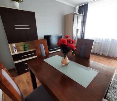 Busko-Zdroj Apartment | Słoneczny Apartament w Busku-Zdroju
