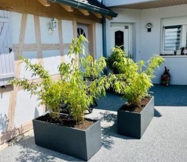 Ittenheim House | S'Hiesele petite maison alsacienne typique