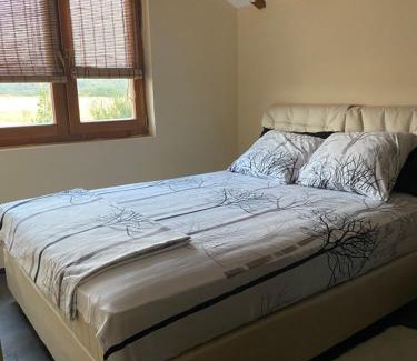 Ranilug House | s t d -PARADISO-