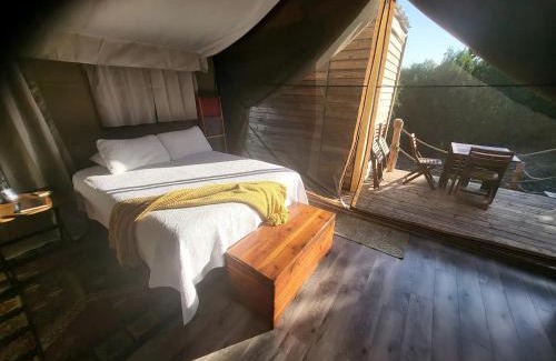 Kempner Other | Safari Style Glamping Experience in the Heart of Texas Hill Country, Perfect for Animal Lovers