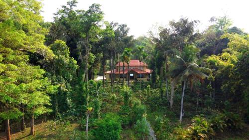 Nakur Sirangala Villa | SaffronStays Coorg Toddy Farms, Coorg