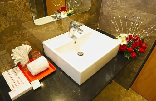 Shirdi Hotel | Sai Neem Tree Hotel