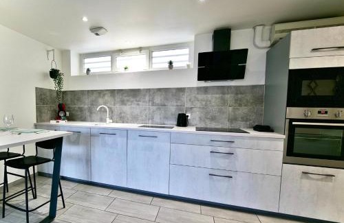 Bellevue - Le Mont - La Jomayere Apartment | Saint-Étienne Bellevue Confort 1