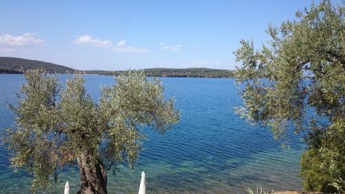 Milina House | Saint Andrews Bay