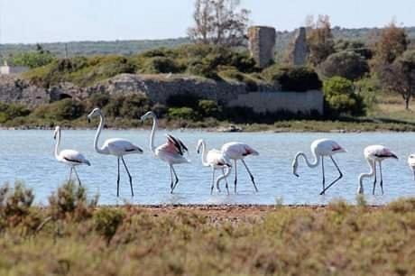Specchiarica House | Salento Beach
