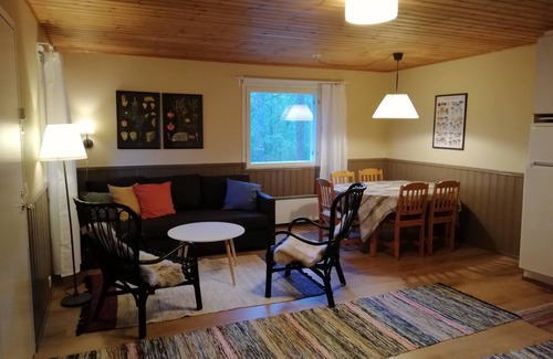 Orivesi Villa | Salkolahti Tikkamaki
