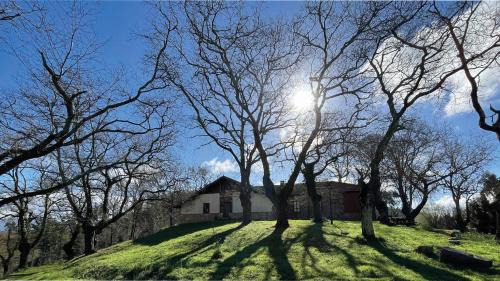 Errigoiti Ski Chalet | Sallobante Aterpetxea