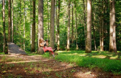 Saluda House | Saluda Summit Cabin at Cabin Fever