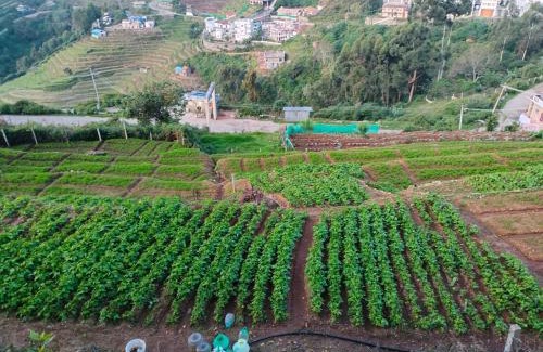 Kodaikanal House | SAMS Cottage - Kodaikanal