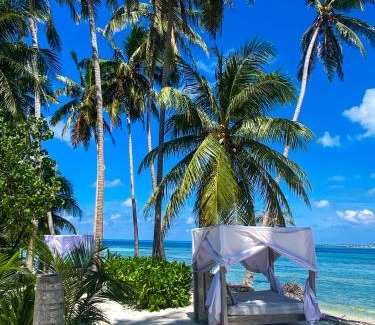 Thulusdhoo Island House | Samura Maldives Guest House Thulusdhoo