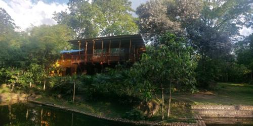 Campoalegre Other | San Antonio